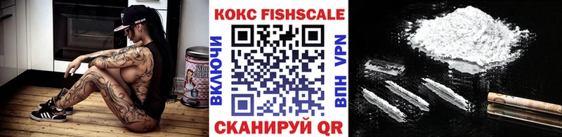 где купить наркоту  Ельня  COCAIN Fish Scale 